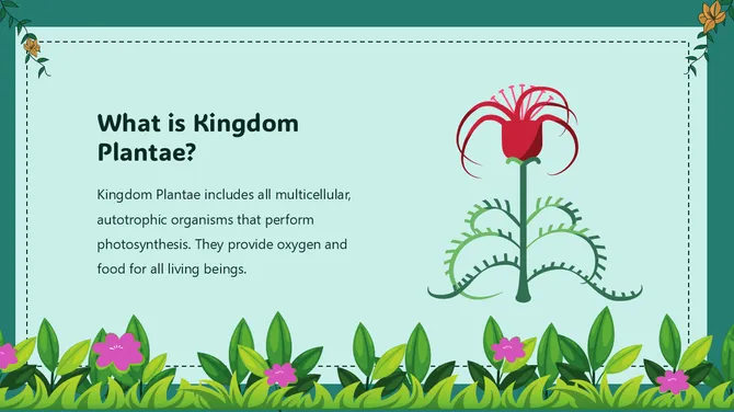 Biology Lesson For Middle School Kingdom Plantae slide4