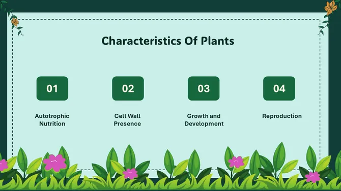 Biology Lesson For Middle School Kingdom Plantae slide5