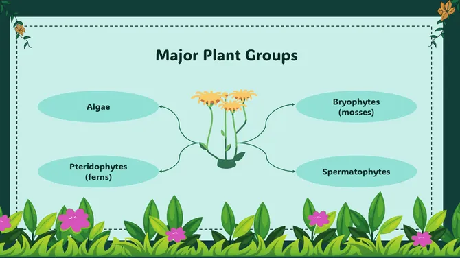 Biology Lesson For Middle School Kingdom Plantae slide6