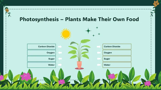 Biology Lesson For Middle School Kingdom Plantae slide7