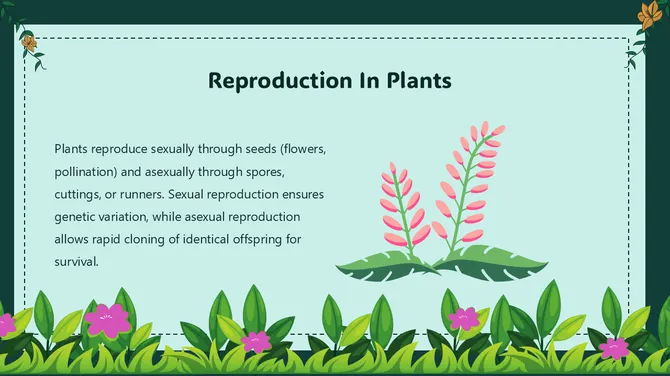 Biology Lesson For Middle School Kingdom Plantae slide9