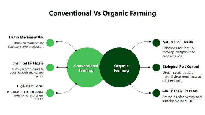 301331-conventional-vs-organic-farming-04-670