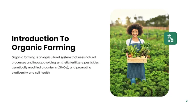 301375-organic-farming-02-670