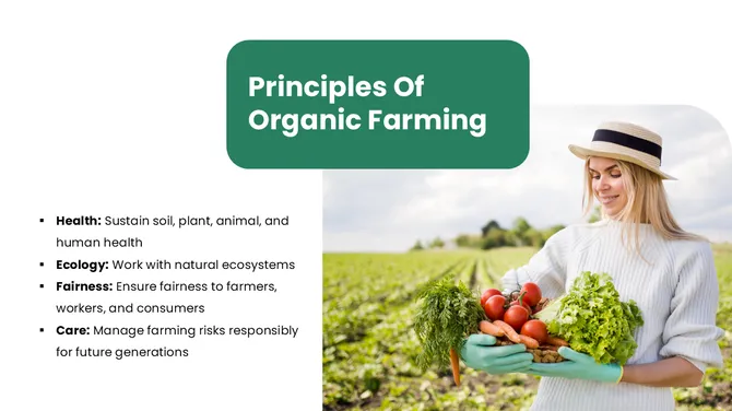 301375-organic-farming-04-670