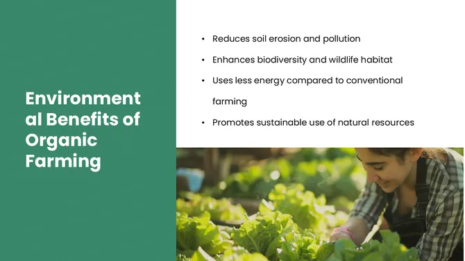 301375-organic-farming-09-670