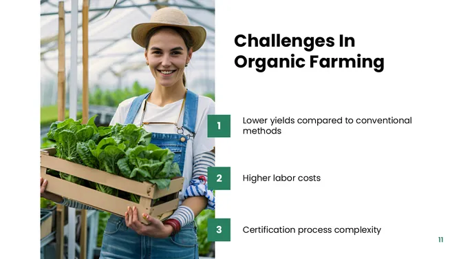 301375-organic-farming-11-670