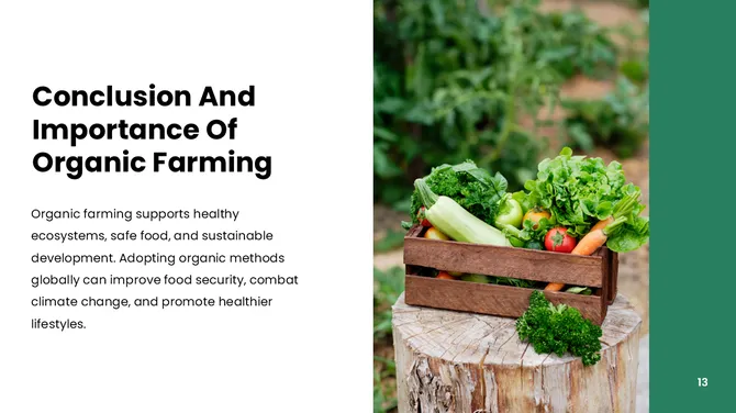 301375-organic-farming-13-670