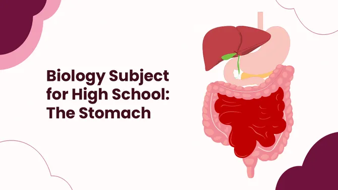Biology Subject For High School The Stomach slide1