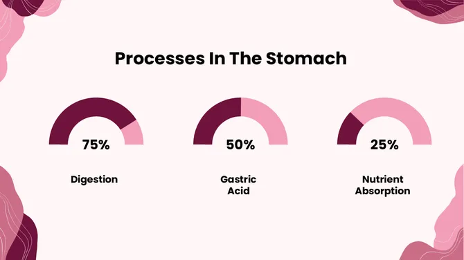 Biology Subject For High School The Stomach slide5