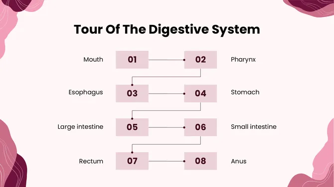 Biology Subject For High School The Stomach slide8
