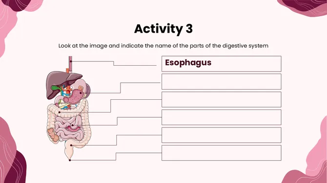 Biology Subject For High School The Stomach slide12