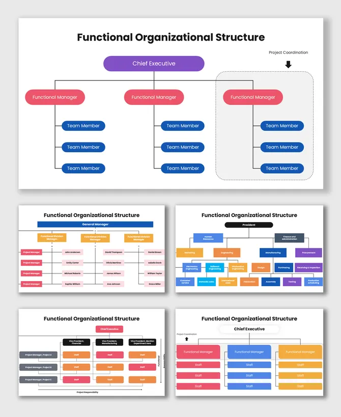Functional Organizational Structure PPT, Canva, And Google Slides