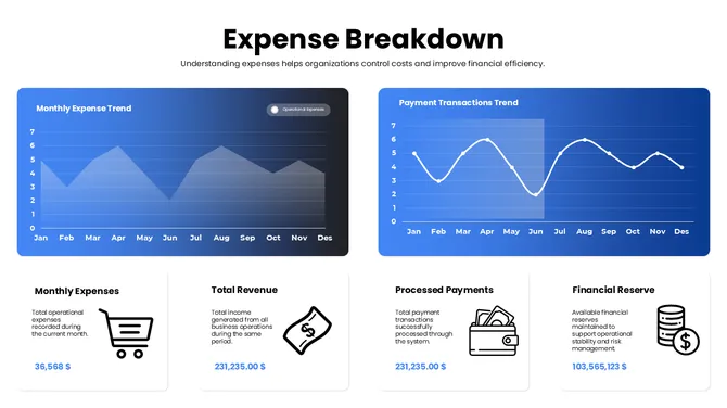 301798-executive-financial-dashboard-06-670