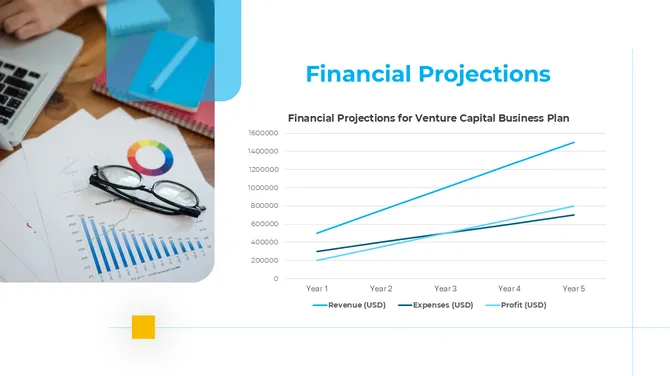 Venture Capital Business Plan slide 10