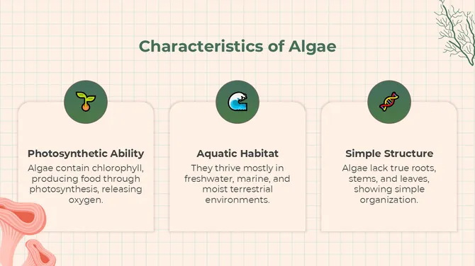 The Biology Subject For High School Algae And Fungi slide3