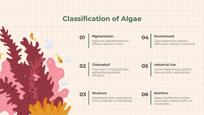 The Biology Subject For High School Algae And Fungi slide4