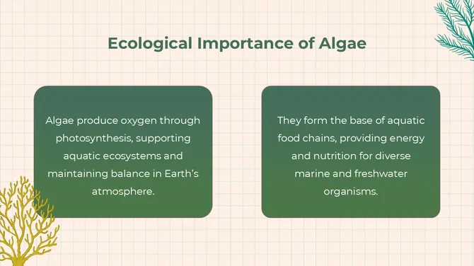 The Biology Subject For High School Algae And Fungi slide6
