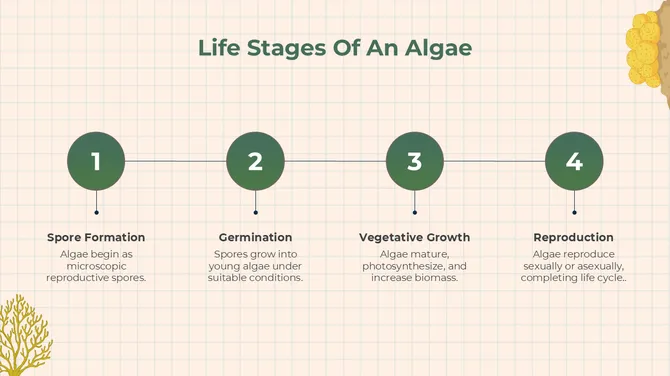 The Biology Subject For High School Algae And Fungi slide10