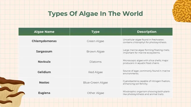 The Biology Subject For High School Algae And Fungi slide12