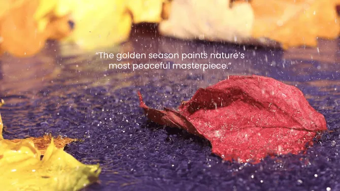 401370-fall-nature-background-02-670