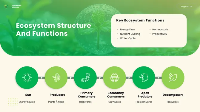 401486-environment-and-ecology-presentationp-04