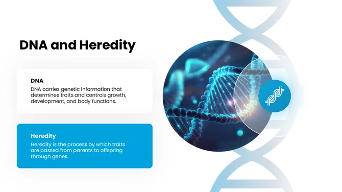 47662-biology-slide-template-04