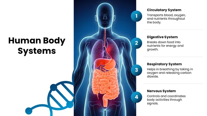 47662-biology-slide-template-06