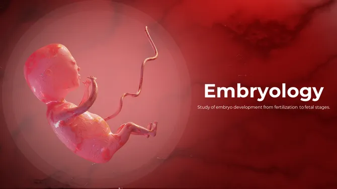 500757-embryology-01-670
