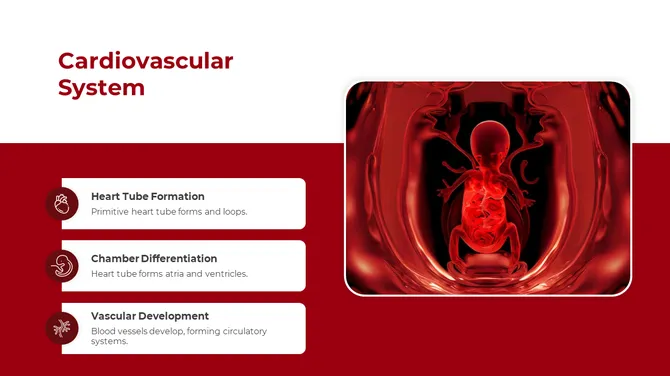 500757-embryology-08-670