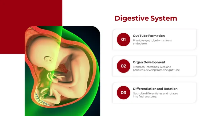 500757-embryology-09-670