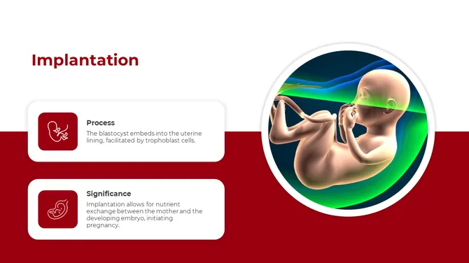 500757-embryology-11-670