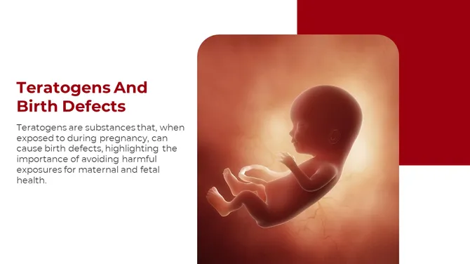 500757-embryology-14-670