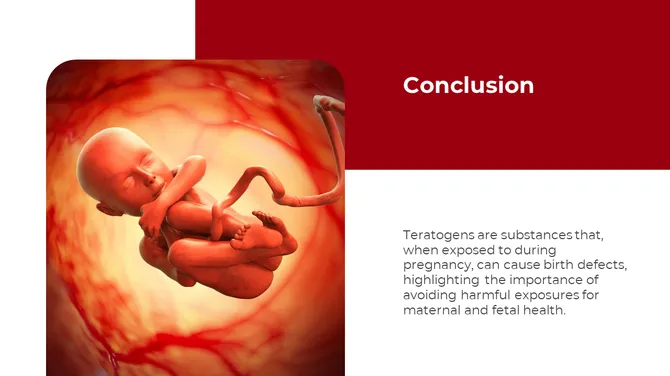 500757-embryology-15-670