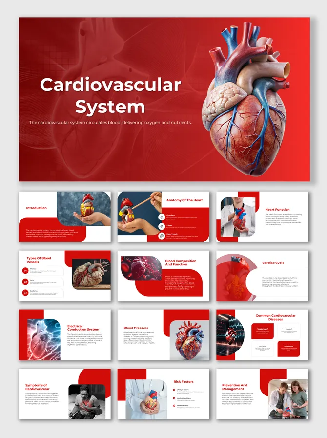 Ppt D Cardiovascular System Anatomy And Physiology Powerpoint