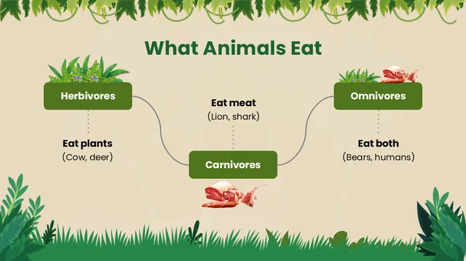 Abilities And Characteristics Of Animals slide6