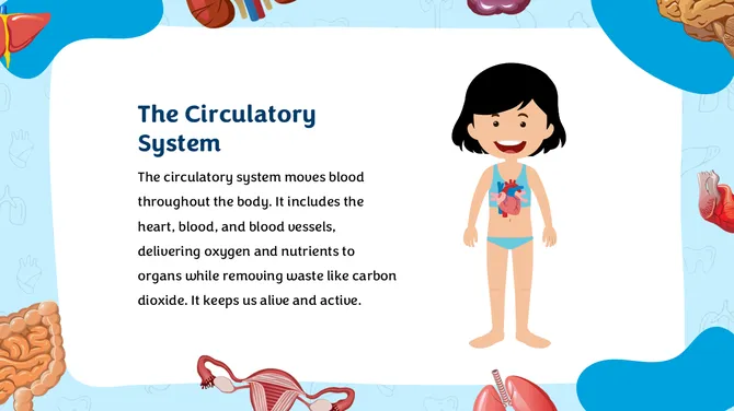 Anatomy Physiology Lesson For Middle School slide8