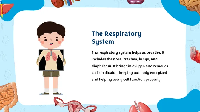 Anatomy Physiology Lesson For Middle School slide9