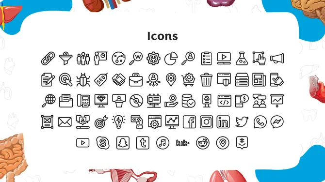 Anatomy Physiology Lesson For Middle School slide13