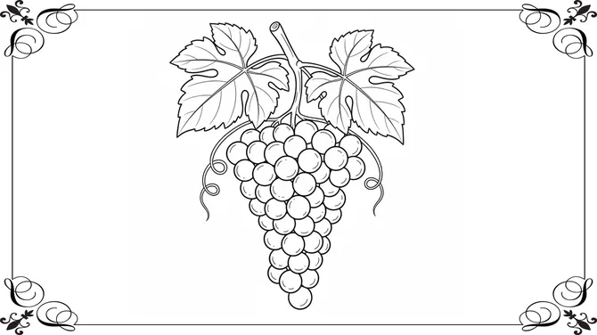 Botanical Coloring Book slide4