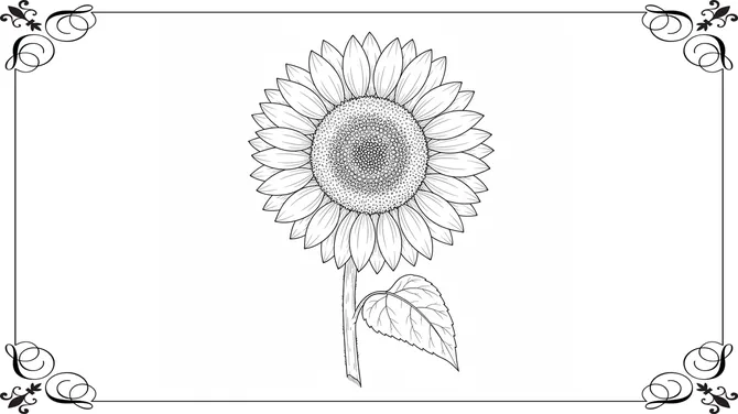 Botanical Coloring Book slide5