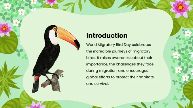 Biology Subject For High School World Migratory Bird Day slide2
