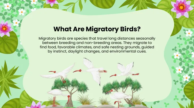 Biology Subject For High School World Migratory Bird Day slide3
