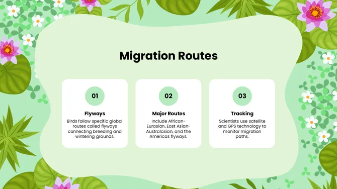 Biology Subject For High School World Migratory Bird Day slide4