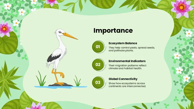 Biology Subject For High School World Migratory Bird Day slide5