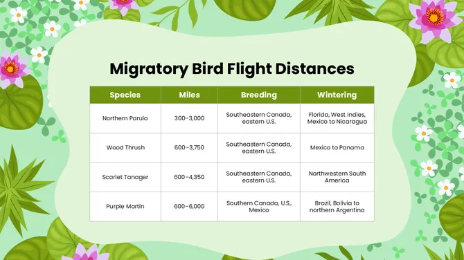 Biology Subject For High School World Migratory Bird Day slide7