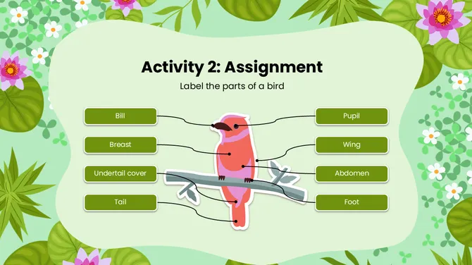 Biology Subject For High School World Migratory Bird Day slide10