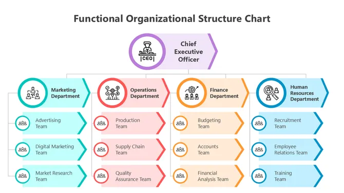 Functional organizational structure chart showing CEO, marketing, operations, finance, and HR departments with teams.