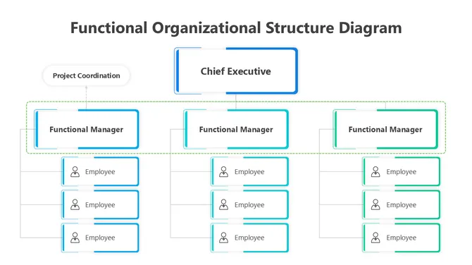 Functional organizational structure diagram showing chief executive, functional managers, and employees with clear hierarchy.