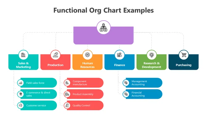 502024-functional-org-chart-examples-02-670