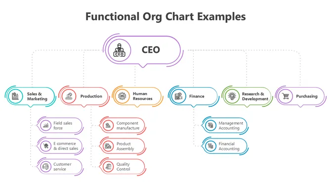 502024-functional-org-chart-examples-04-670